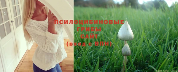 ГАЛЛЮЦИНОГЕННЫЕ ГРИБЫ Новодвинск
